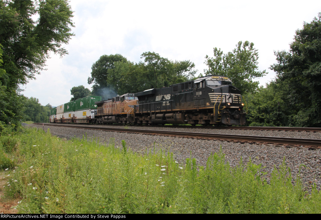 NS 8118 on the point of train 294